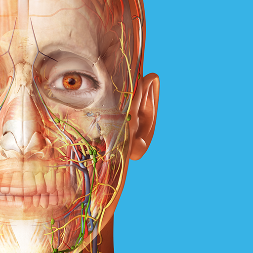تحميل برنامج Human Anatomy Atlas 2023 مهكر للاندرويد